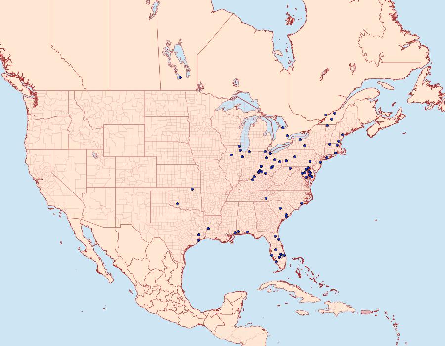 Distribution Data for Epiblema desertana