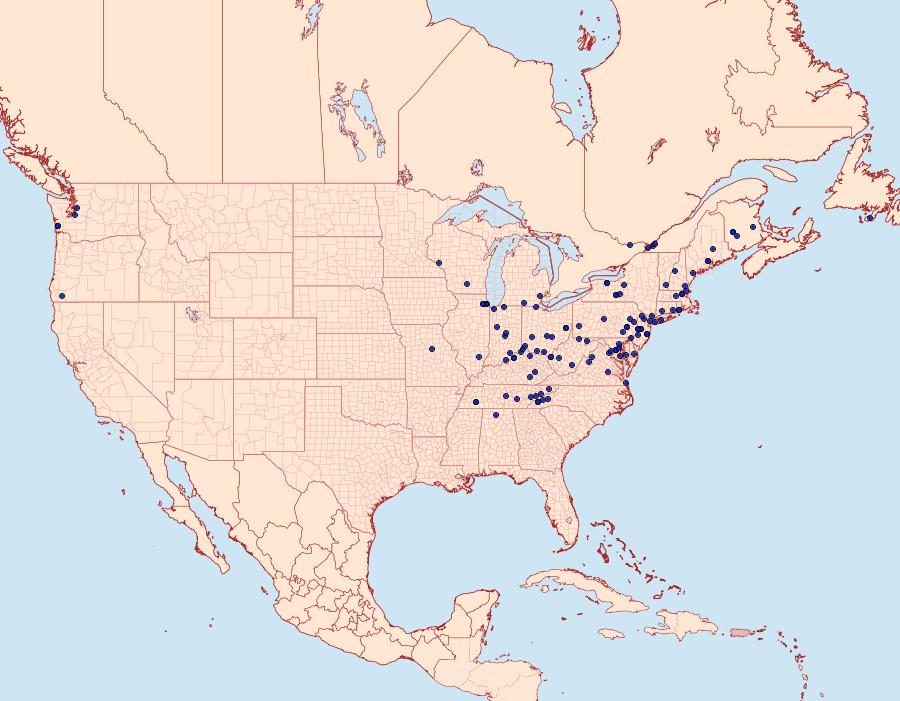 Distribution Data for Notocelia rosaecolana