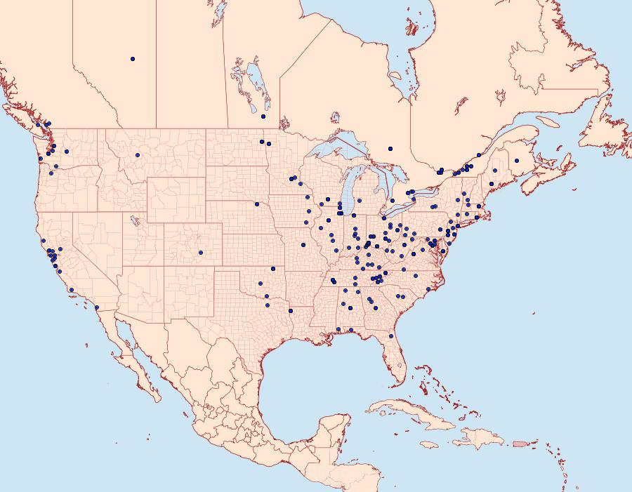 Distribution Data for Proteoteras aesculana