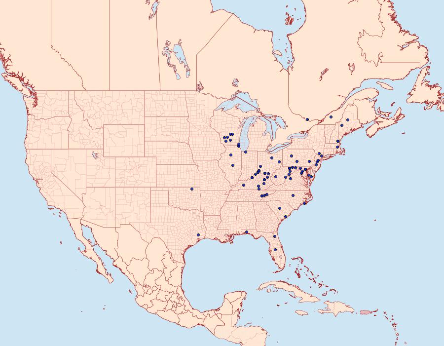 Distribution Data for Pseudexentera spoliana