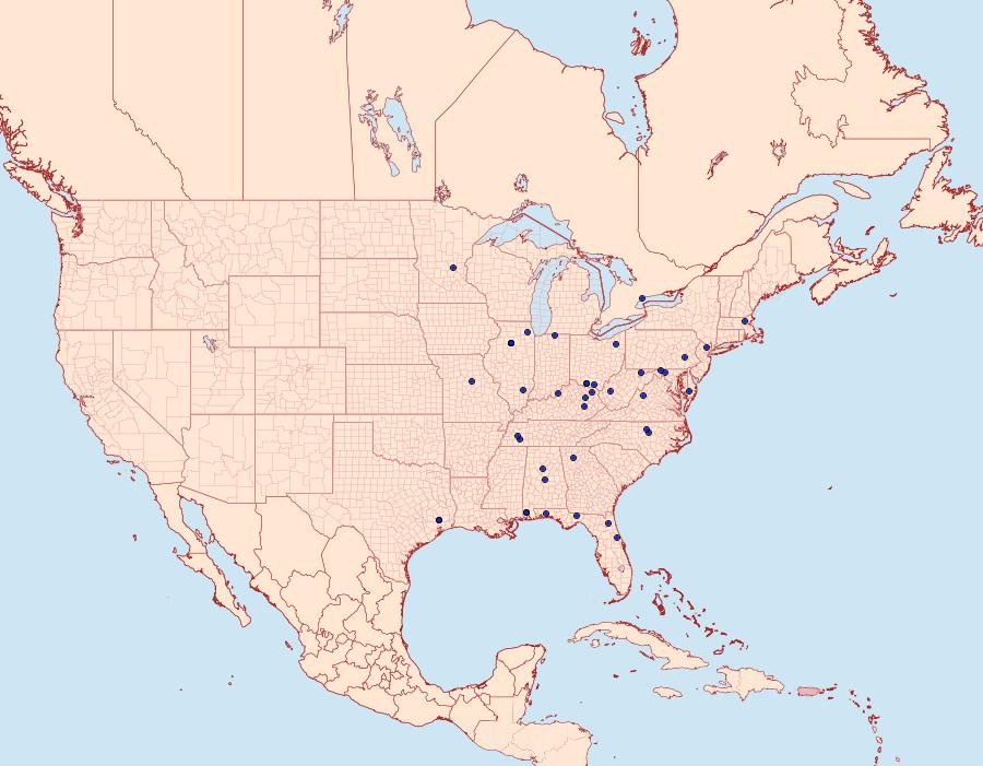 Distribution Data for Pseudexentera sepia