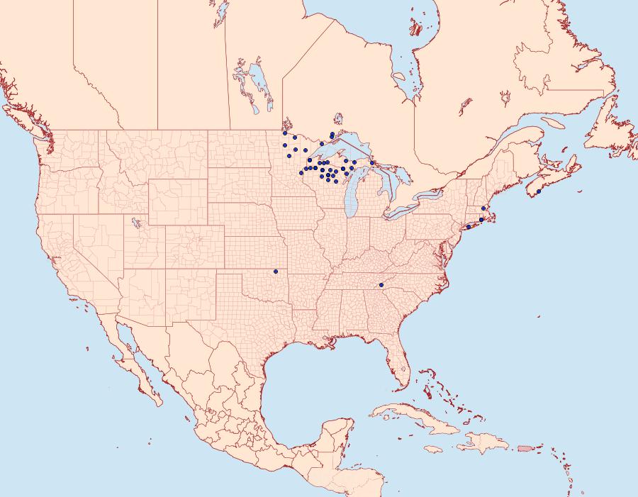 Distribution Data for Pseudexentera kalmiana