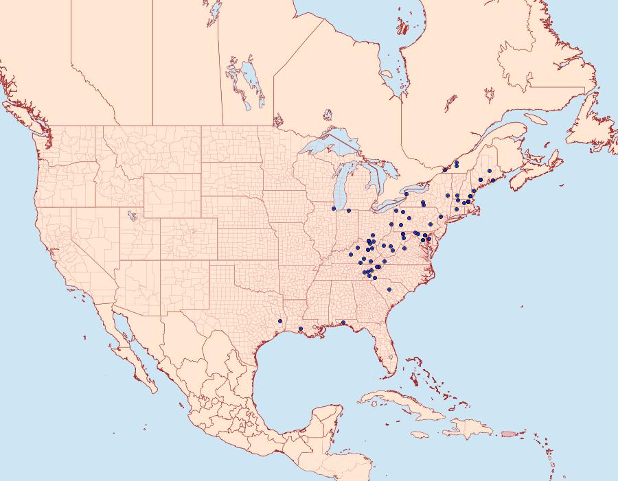 Distribution Data for Pseudexentera costomaculana