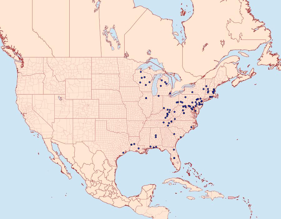 Distribution Data for Pseudexentera virginiana