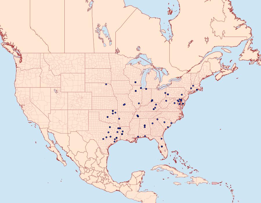 Distribution Data for Gretchena bolliana