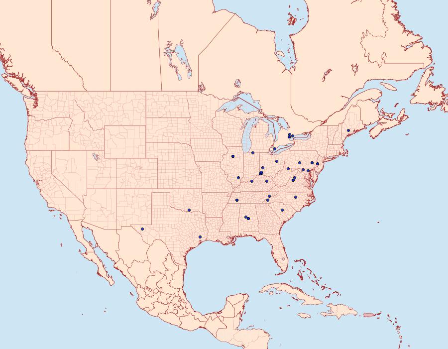 Distribution Data for Gretchena concitatricana