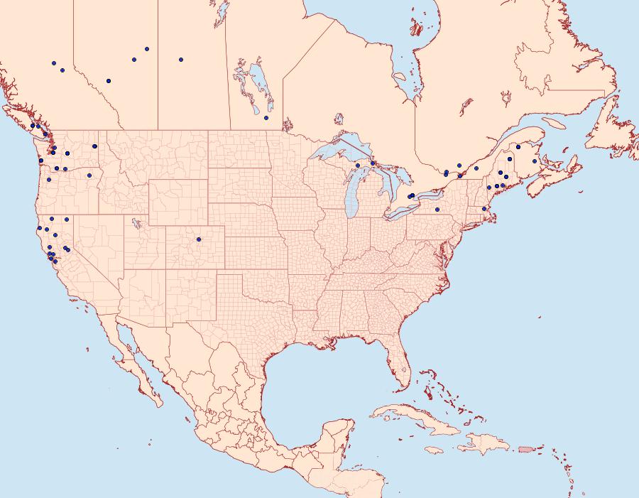 Distribution Data for Epinotia radicana