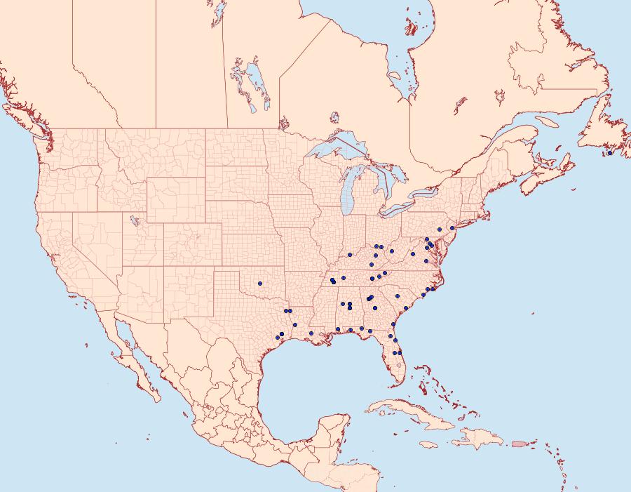 Distribution Data for Chimoptesis gerulae