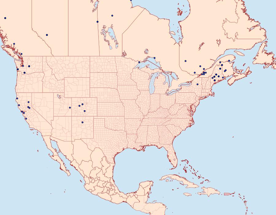 Distribution Data for Epinotia solandriana