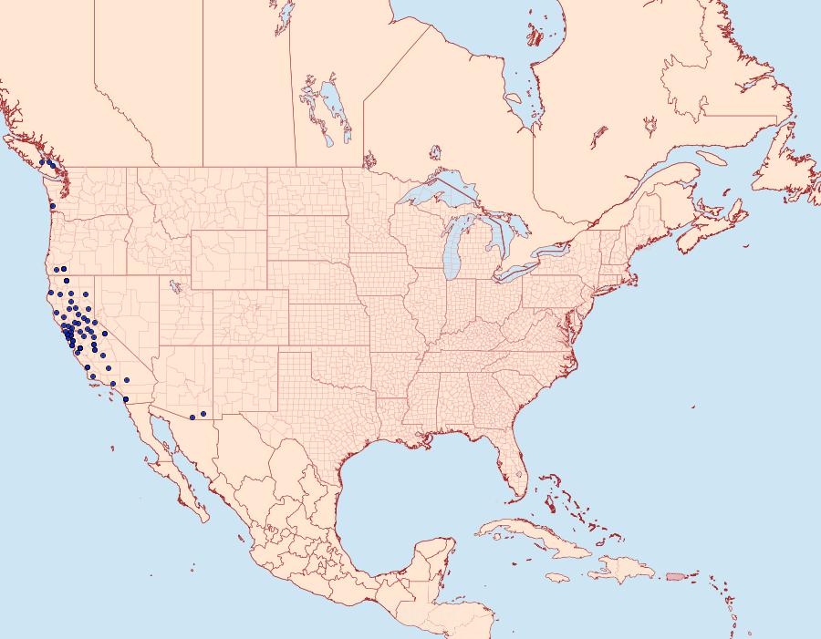 Distribution Data for Epinotia emarginana