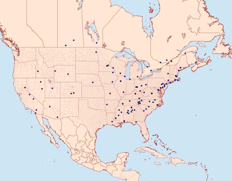 Distribution Data for Amydria effrenatella