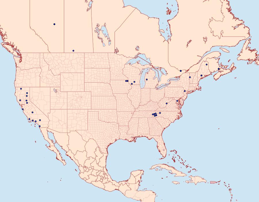 Distribution Data for Ancylis discigerana