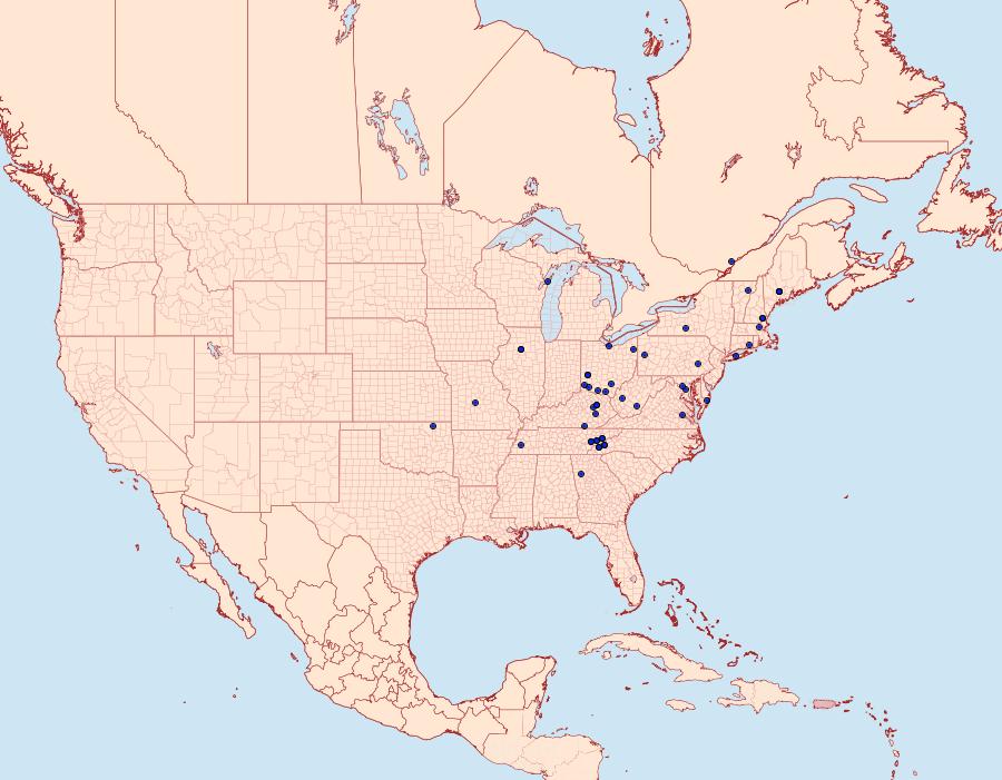 Distribution Data for Ancylis laciniana