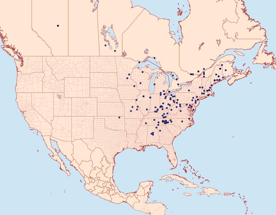 Distribution Data for Ancylis burgessiana