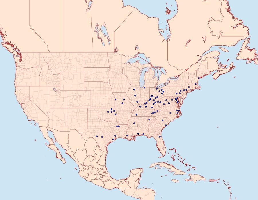 Distribution Data for Ancylis platanana