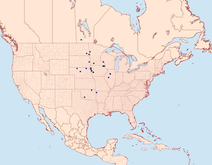 Distribution Data for Hystrichophora taleana