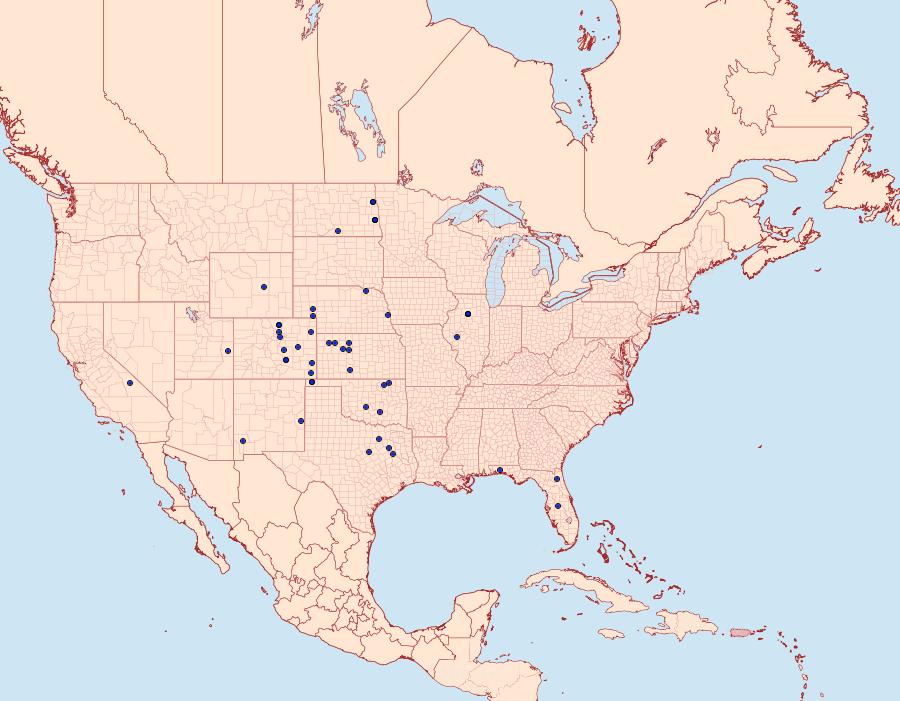 Distribution Data for Hystrichophora vestaliana