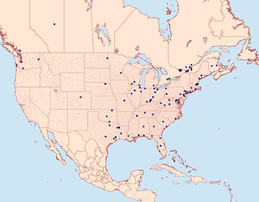 Distribution Data for Aspila packardi