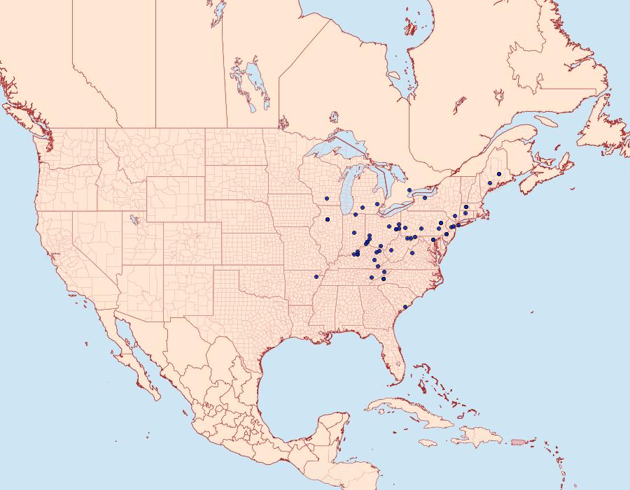 Distribution Data for Ephippiphora eclipsana