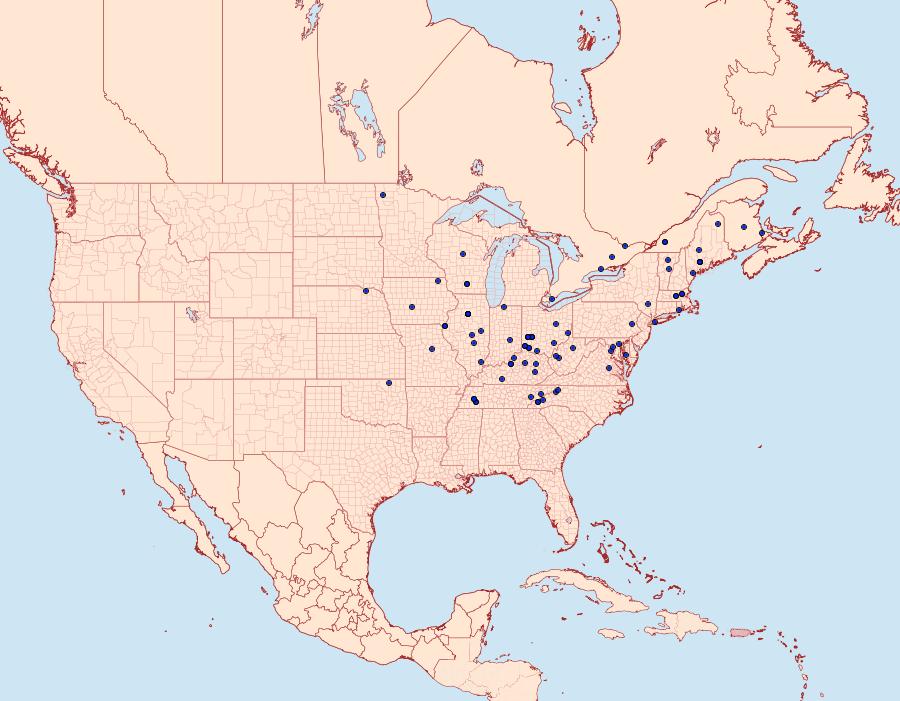 Distribution Data for Grapholita interstinctana