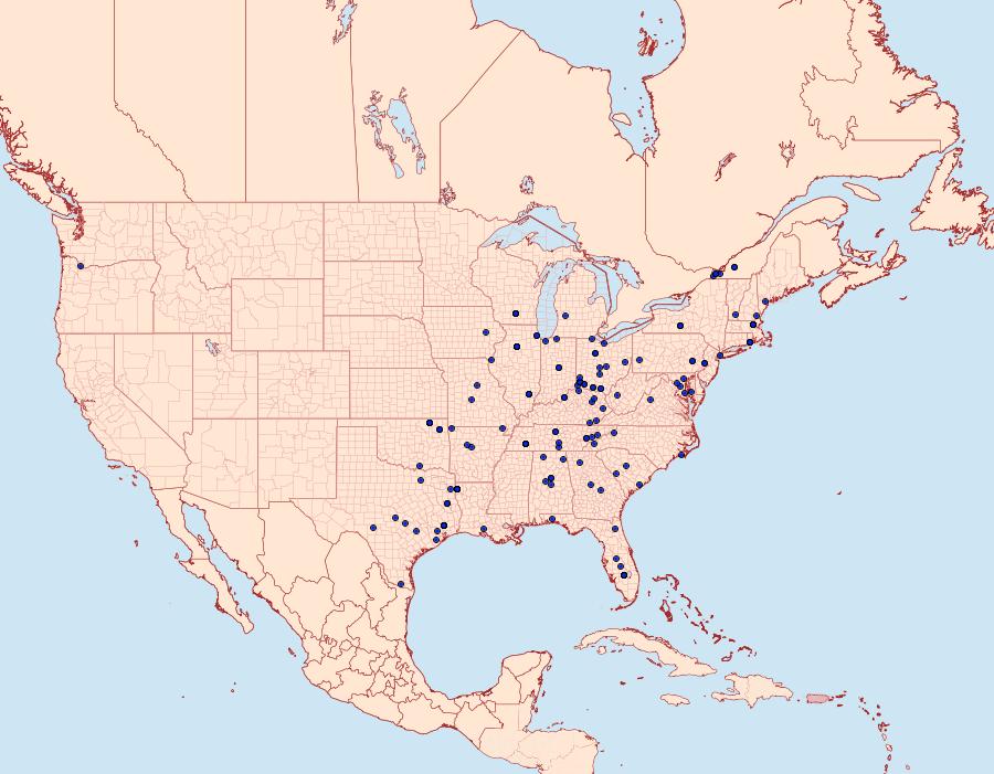 Distribution Data for Cydia caryana