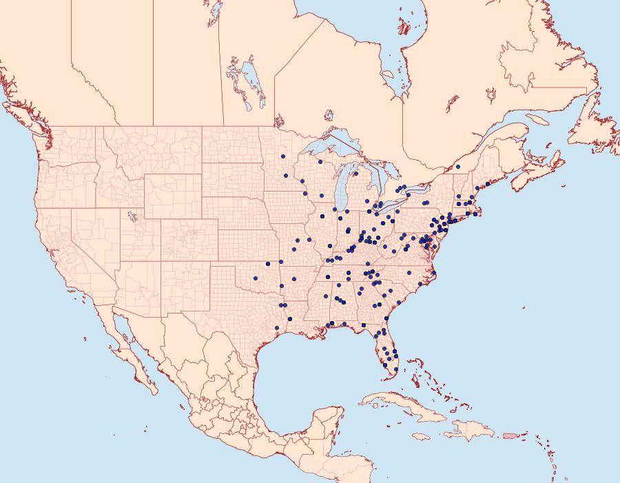 Distribution Data for Gymnandrosoma punctidiscanum