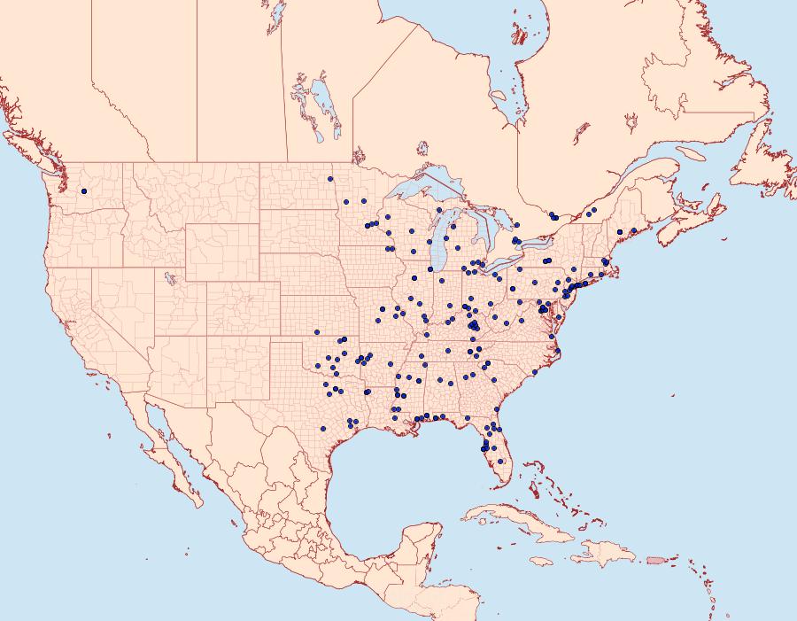 Distribution Data for Acleris semipurpurana