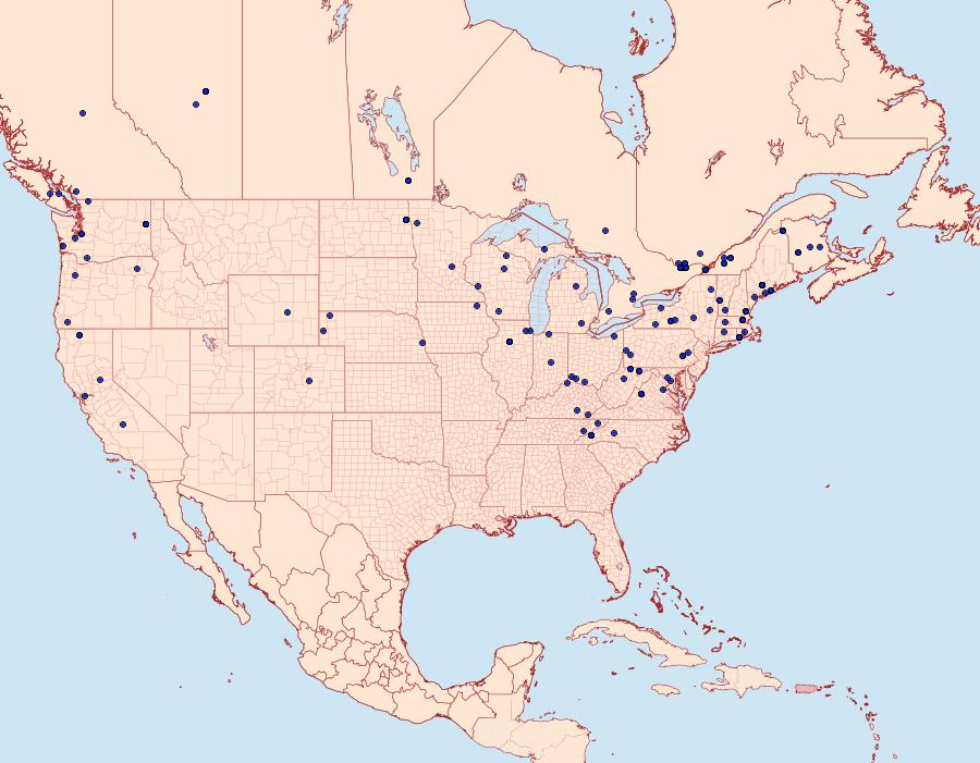 Distribution Data for Acleris nivisellana