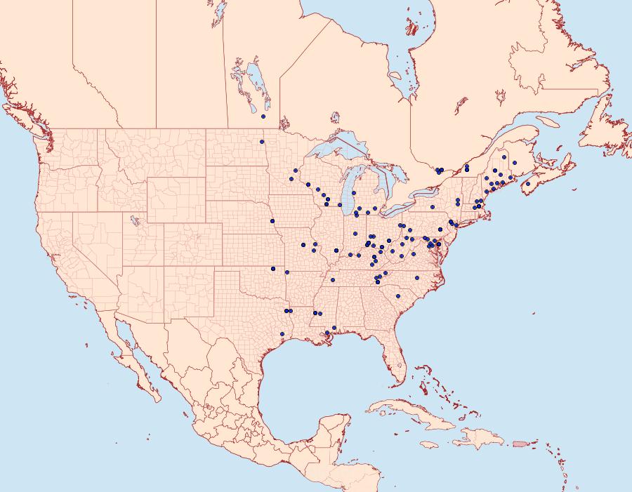 Distribution Data for Acleris subnivana