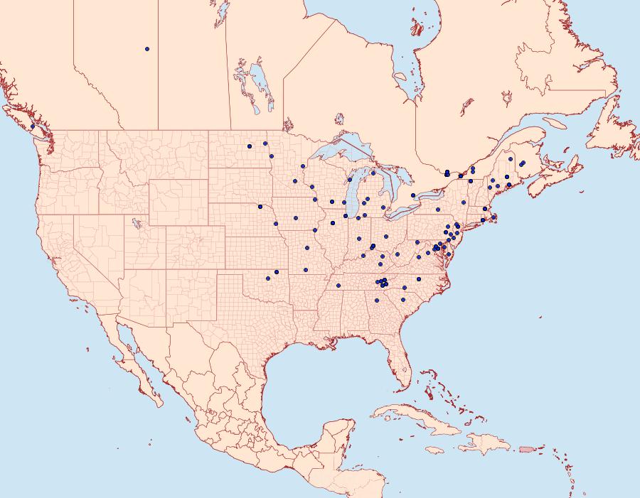 Distribution Data for Acleris viburnana