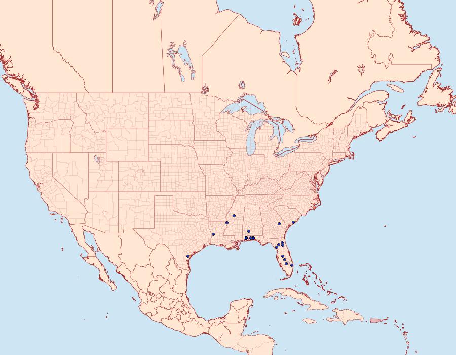 Distribution Data for Acrolophus forbesi