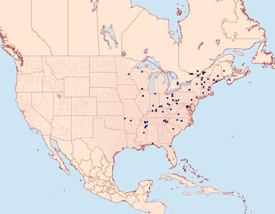 Distribution Data for Acleris chalybeana