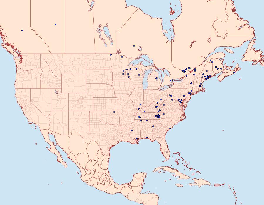 Distribution Data for Acleris placidana