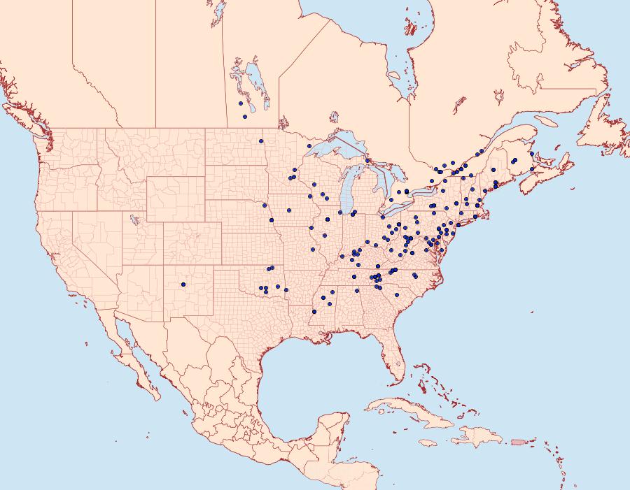 Distribution Data for Pandemis lamprosana