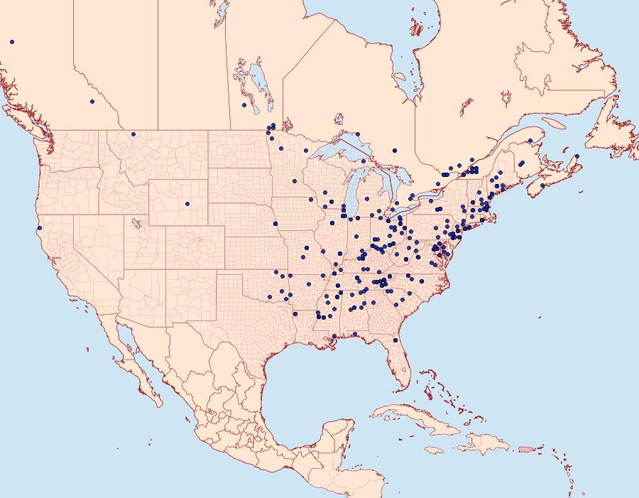 Distribution Data for Pandemis limitata