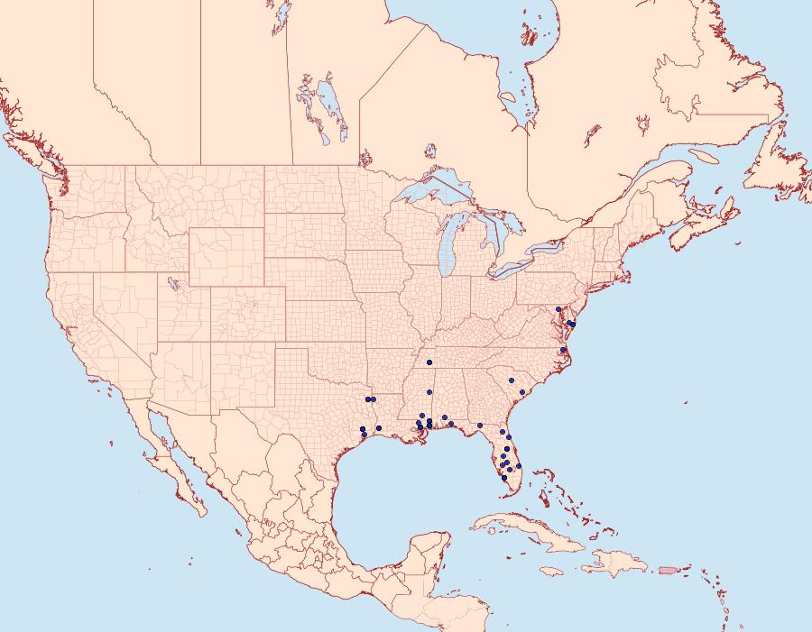 Distribution Data for Argyrotaenia hodgesi