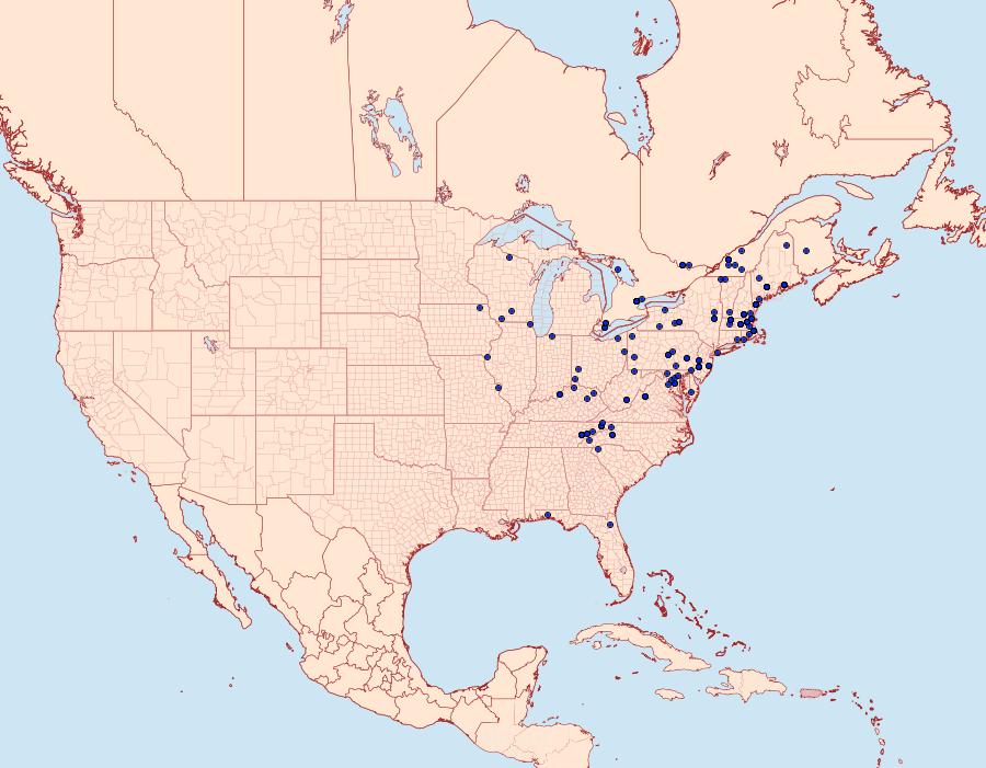 Distribution Data for Argyrotaenia pinatubana