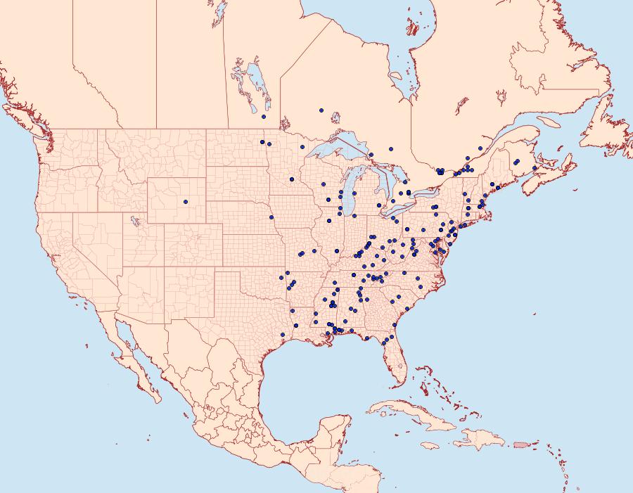 Distribution Data for Choristoneura fractivittana