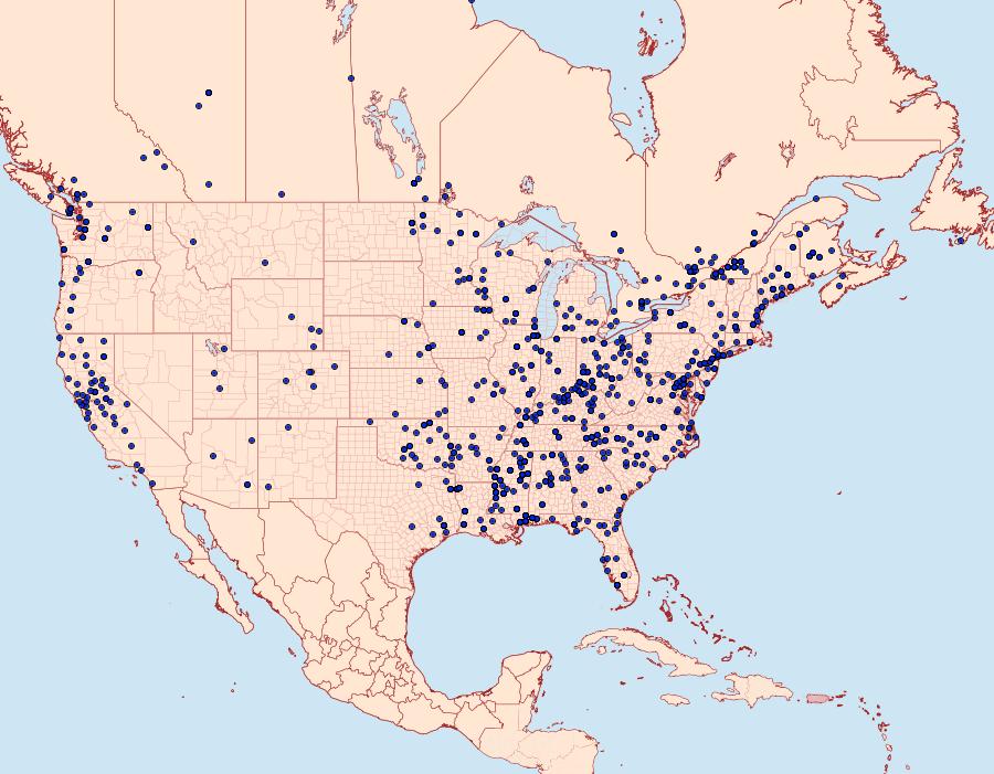 Distribution Data for Choristoneura rosaceana