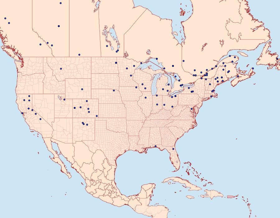 Distribution Data for Choristoneura conflictana