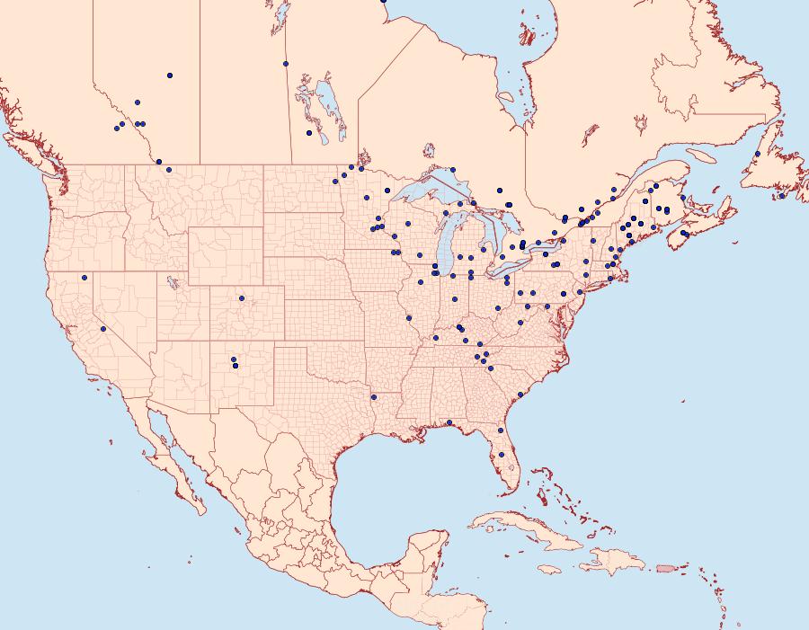 Distribution Data for Choristoneura fumiferana