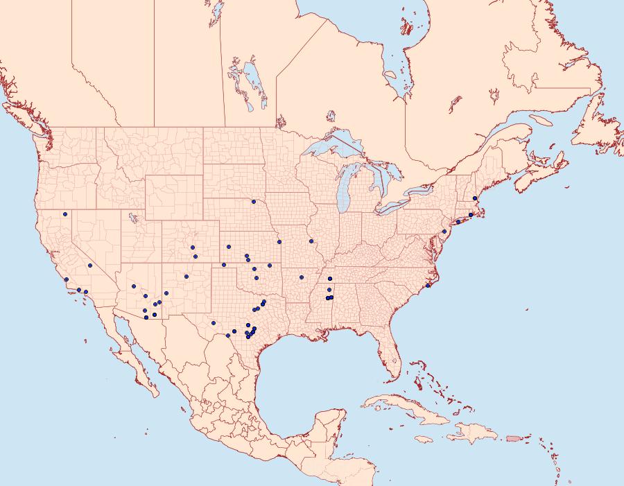 Distribution Data for Choristoneura houstonana