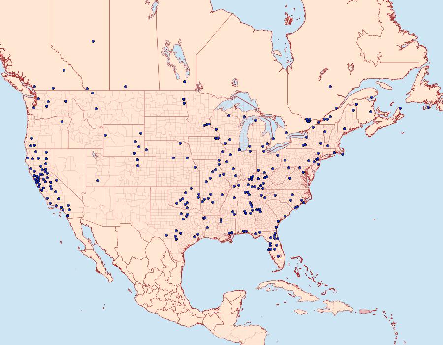 Distribution Data for Archips argyrospila