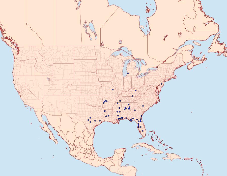 Distribution Data for Archips georgiana