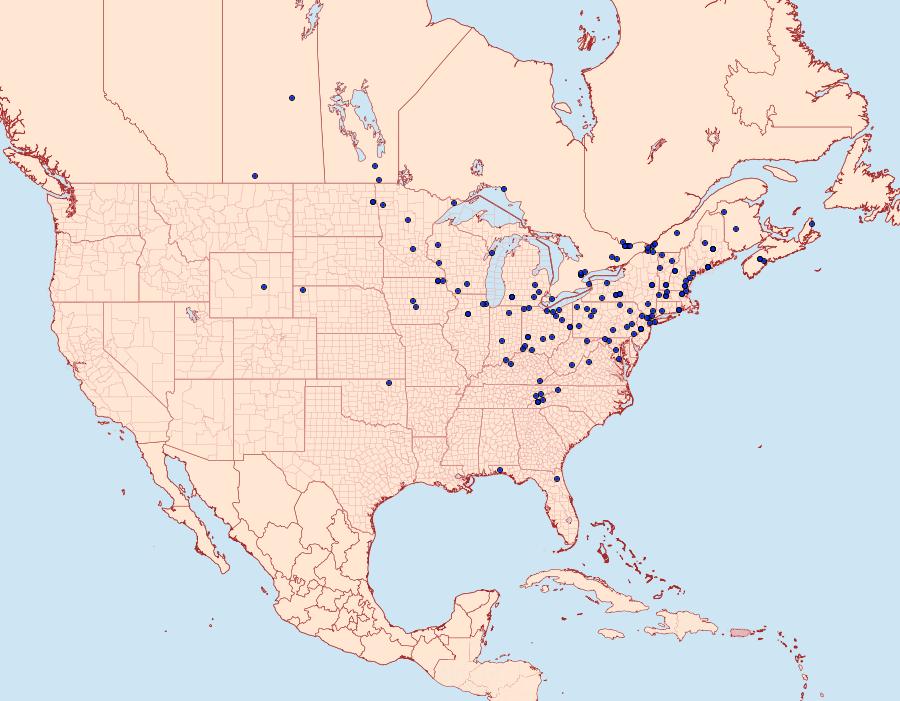 Distribution Data for Archips purpurana