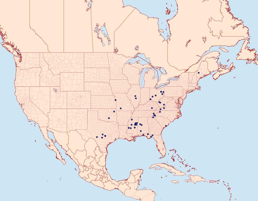 Distribution Data for Archips rileyana