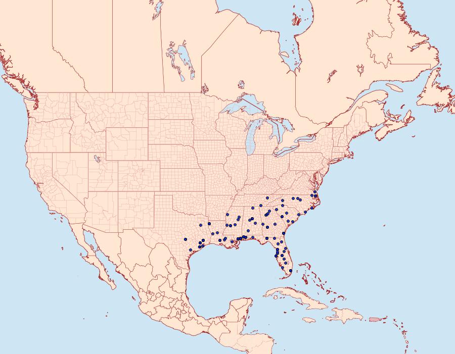 Distribution Data for Acrolophus mycetophagus