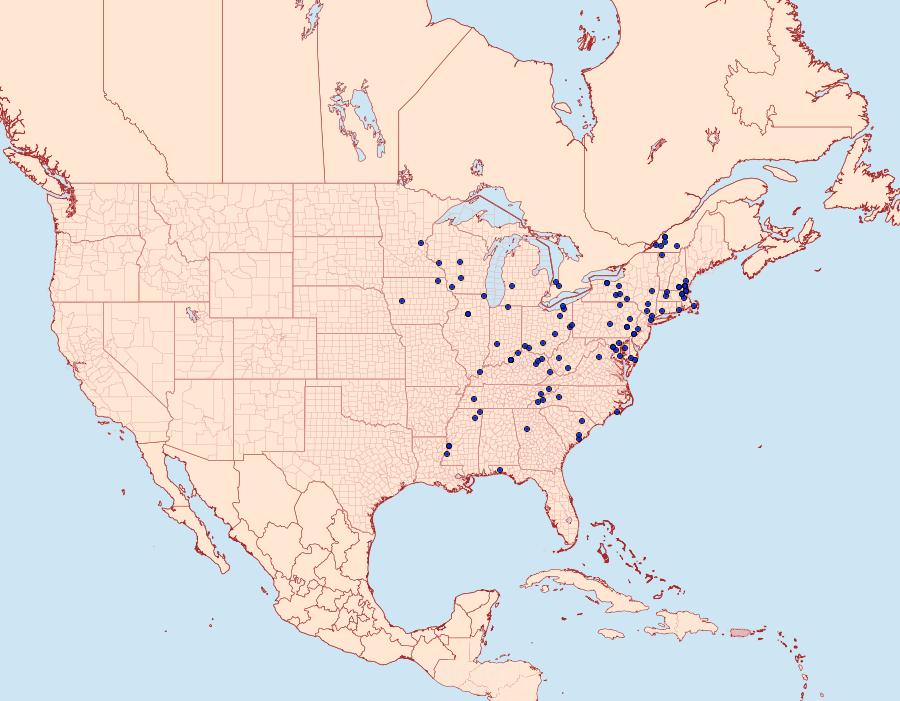 Distribution Data for Acrolophus mora