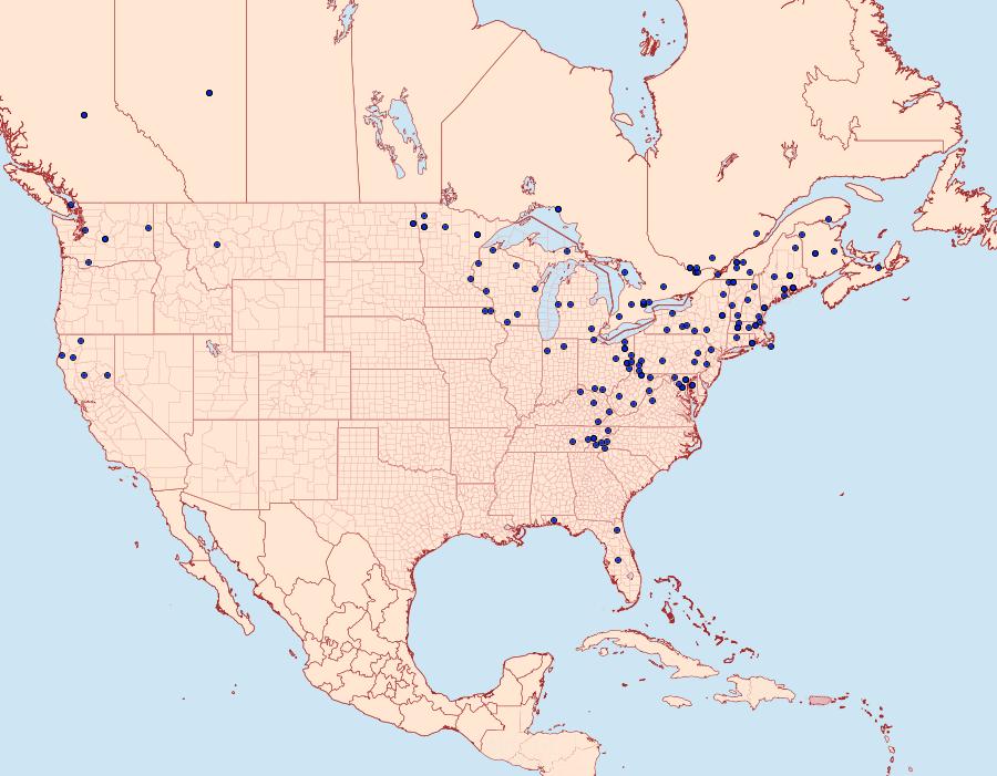 Distribution Data for Syndemis afflictana