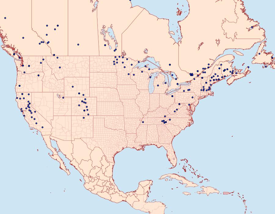 Distribution Data for Clepsis persicana